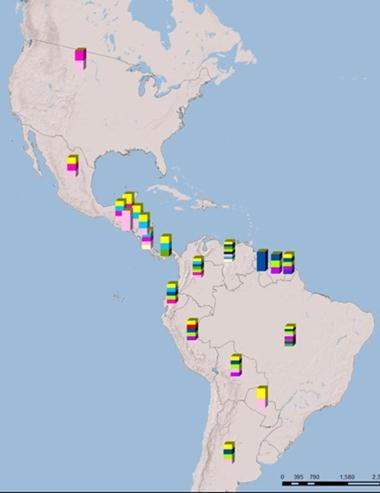 Leishmaniases in the Americas Mainly affects poor populations