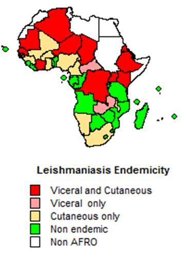 Cutaneous leishmaniasis in East and sub-saharan Africa Commonly caused by the old world leishmania species; L. major, L.donovani, L. aethiopica, L. tropica Cutaneous lesions caused by L.