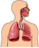 Tuberculosis TB is caused by mycobacterium tuberculosis.