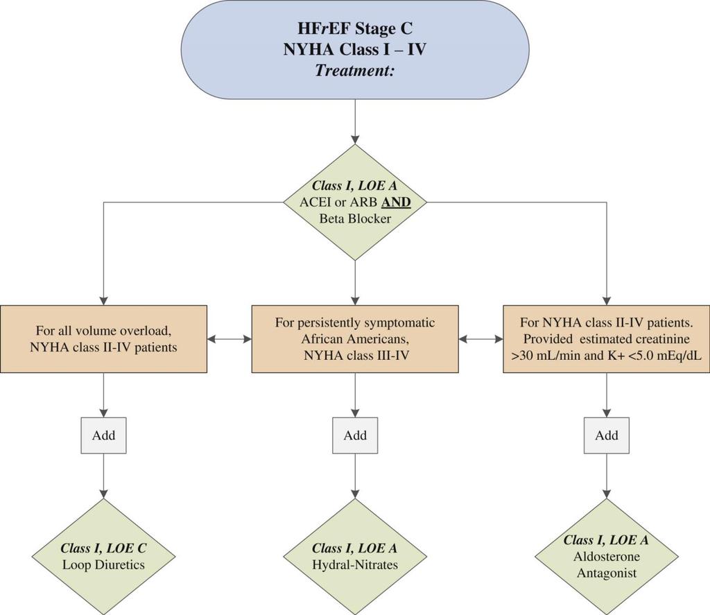 2013 ACCF/AHA Guideline for the Management of Heart Failure GDMT J