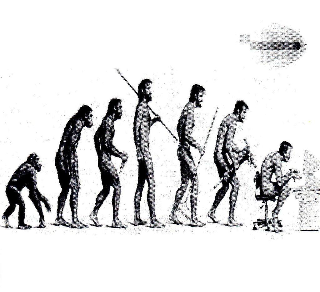 The human evolution What