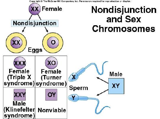 complete monosomy Incidence: 1:2-3,000 Short stature Non-functioning ovaries