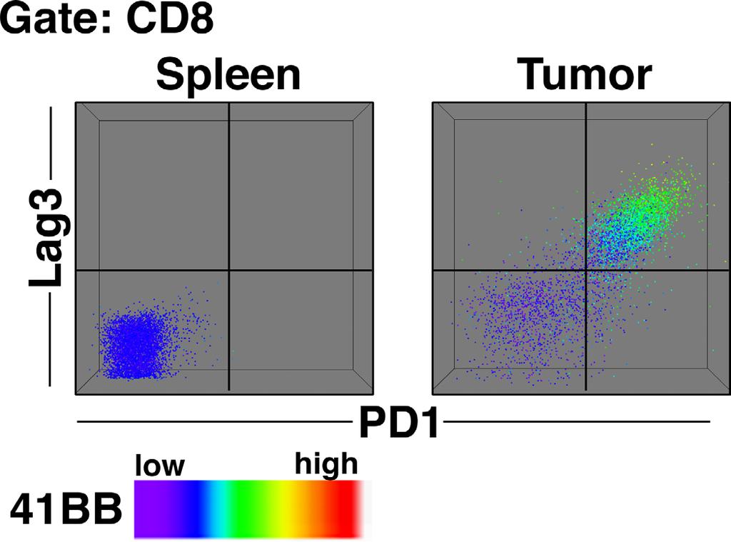Lag3 and 4-1BB further define CD8 + TIL phenotype beyond