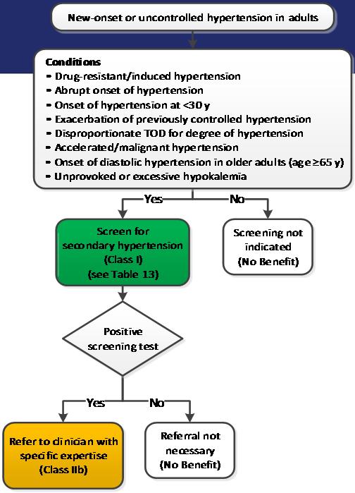 2017 Hypertension Guideline Causes of