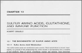 Schalinske KL. Hepatic sulfur amino acid metabolism, in Masella R & Mazza G eds., Glutathione and Sulfur Amino Acids in Human Health and Disease, John Wiley & Sons, Inc., Hoboken, NJ, pp.