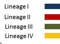 PPRV Lineages