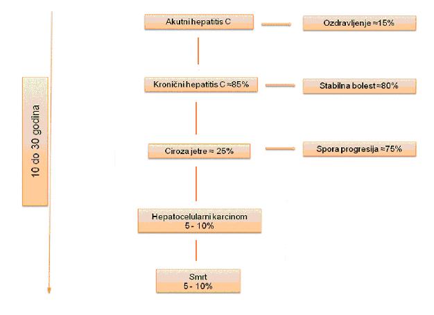 UVOD Slika 1.8. Prirodni tijek bolesti. 1.5. Liječenje hepatitisa C Od otkrića HCV-a primjenjivani su različiti protokoli liječenja (slika 1.9).