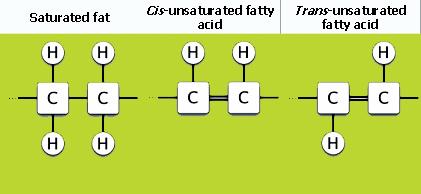 Bad Fat are saturated fat, trans fat, cholesterol Good