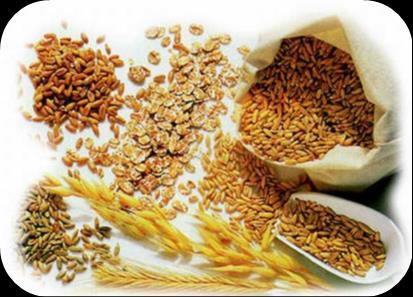 Raw materials : cereals Preference (%) relative to barley 160 Inclusion (52%) 150 140 130 33% 44% 48% farelo de trigo milho