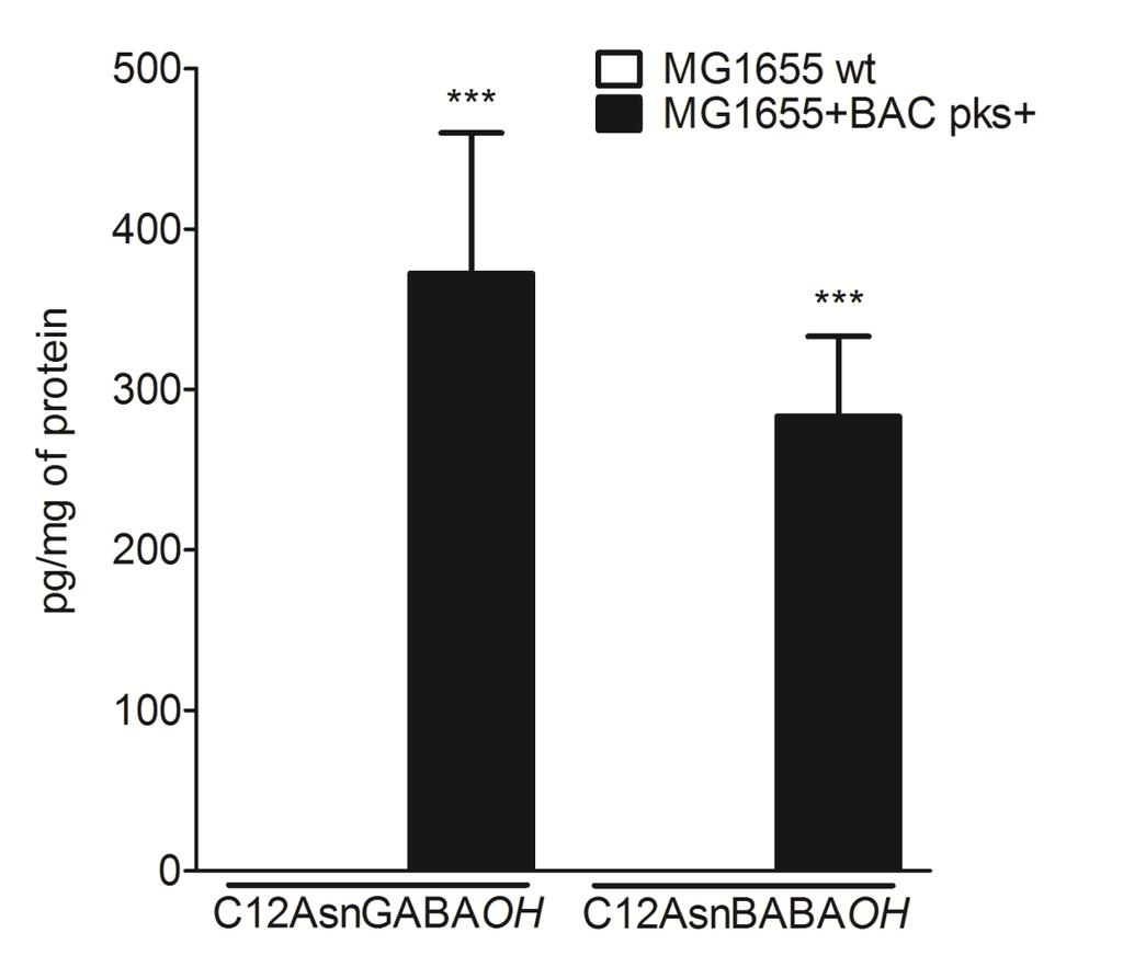 Supplementary Figure 11: Quantification of C12AsnGABAH and C12AsnBABAH. C12AsnGABAH and C12AsnBABAH were quantified by LC-MS/MS in pellets of MG1655 wild-type and MG1655+BAC pks+.