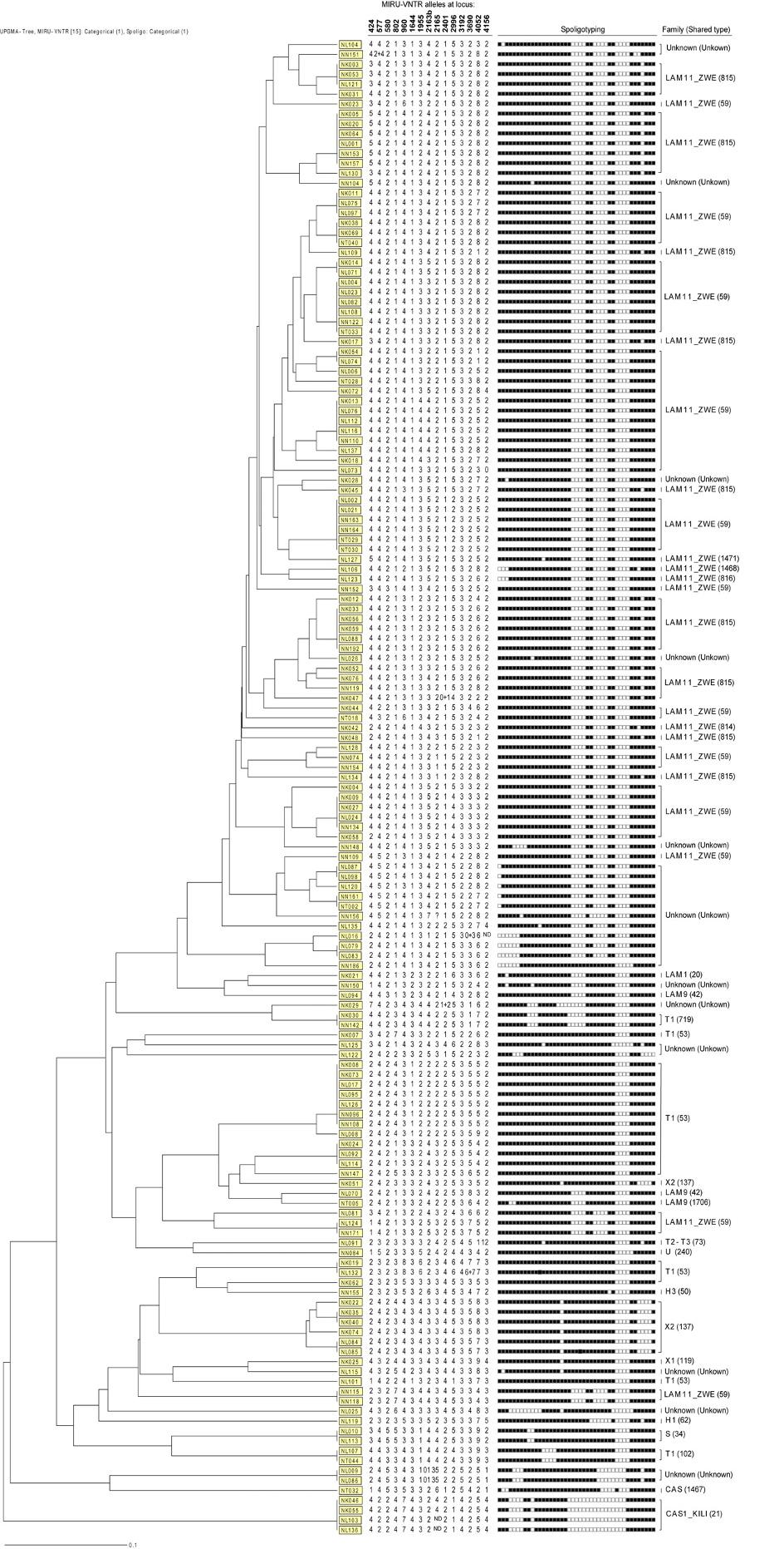 Page 5 of 9 Figure 2 Spoligotyping and MIRU-VNTR clustering of representative M. tuberculosis isolates from Ndola.