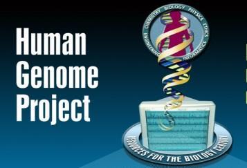 human gen