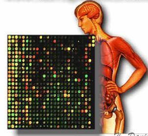 FOR INTERNAL USE ONLY Nutrigenomics will help to understand individual requirements The science of nutrigenomics seeks to provide a molecular understanding for how common dietary