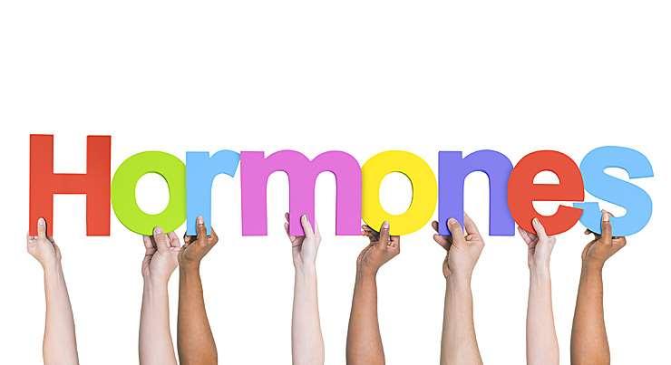Conversion to BHRT Address other hormone imbalances that may be adding to symptoms: All