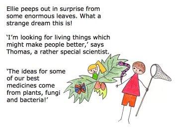 Slide 10 What sort of medicines come from fungus? Antibiotics like penicillin. What sort of medicines come from plants?