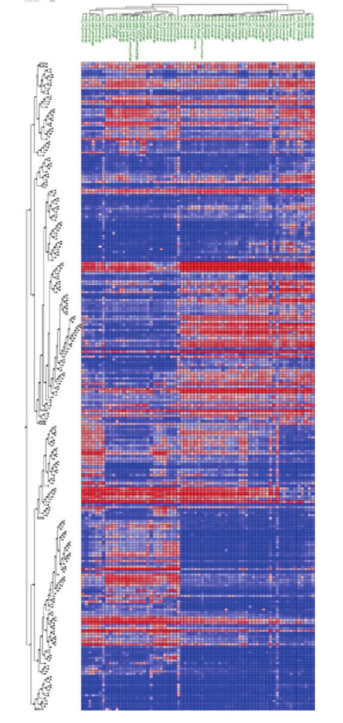 PIONEERS IN REPRODUCTIVE GENETICS Scientific Support Receptive Pre-receptive Hierarchical clustering