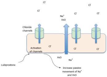 Mechanism: Chloride channel activator Mechanism: Chloride channel activator Indications 1) treatment of chronic idiopathic constipation (CIC) in adults 2) treatment of irritable bowel syndrome with