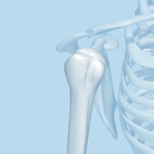 Implantation 1 Reduce fracture and fix temporarily Proper reduction of the fracture is crucial for good bone healing and function.