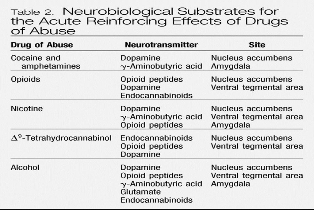 Neurobiology of Addiction.