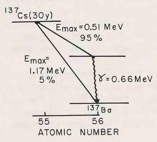 Decay scheme (Cs-137) Half-life= life= 30 yrs Emits β 1 particles (electrons) Gamma at 662 kev +