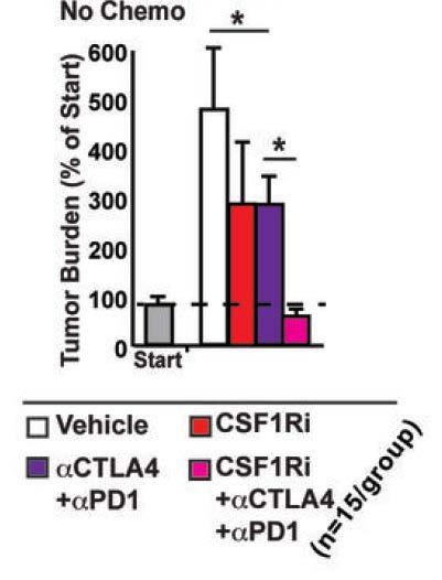 CSF-1R Inhibition Synergizes with Checkpoint Inhibitors Pancreatic
