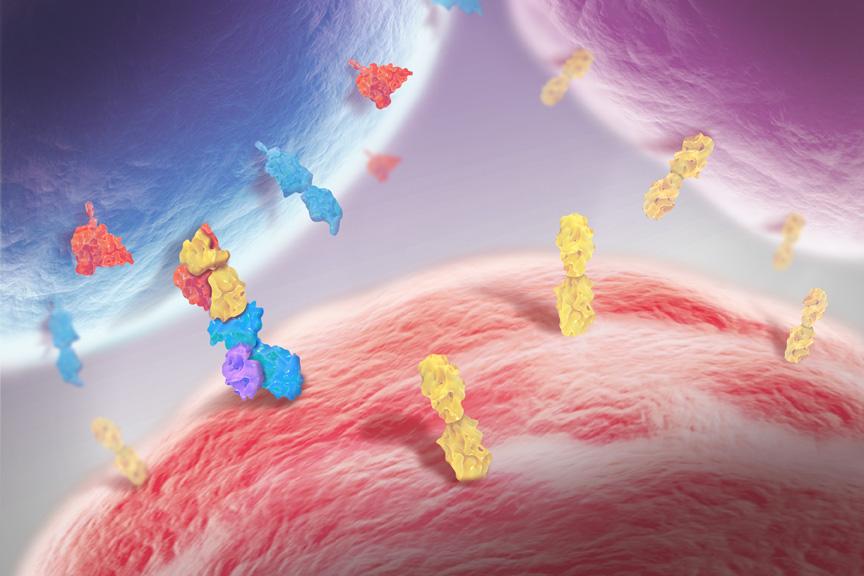 Many New IO Targets Remain to be Discovered in the Tumor Microenvironment Tumor Cell The Five Prime Immunome: ~500 Cell Surface Receptors Enriched for Regulators of the Immune Response to the