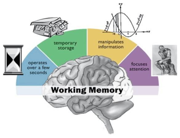 WHAT IS WORKING MEMORY?