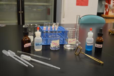 Designing Experimental Controls Because you are going to be testing for the presence different macromolecules in this lab, there are several important steps that you must first take to ensure that