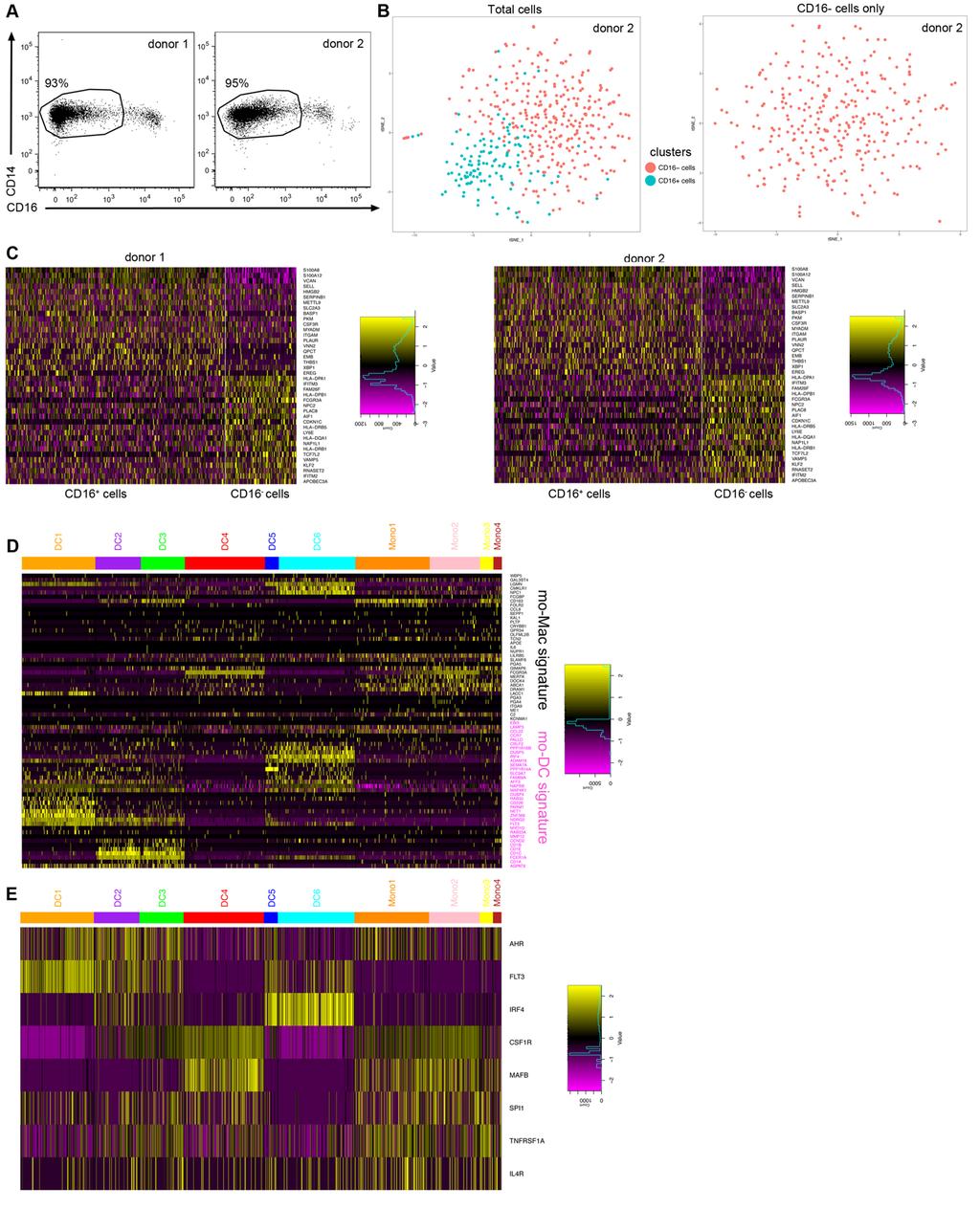 Fig.S3 related to Fig.3. Single-cell RNA-seq analysis of monocytes.