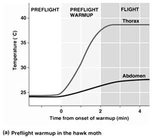 48 The average thoracic temperature of freely flying sphinx moths as a function of air temperature Some insects are