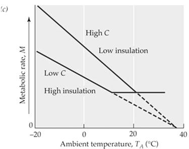 Fig. 10.29c: Comparison between two animals that differ in C below thermoneutrality 1. Conductance (C) is inversely proportional to insulation (I) 2. M = 1/I (Tb Ta) 3.