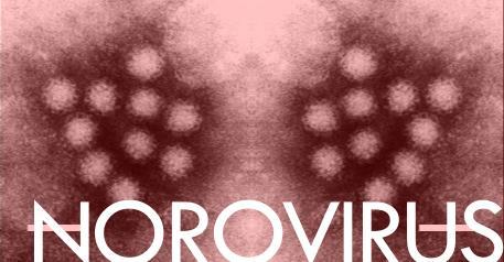 Norovirus a chronic