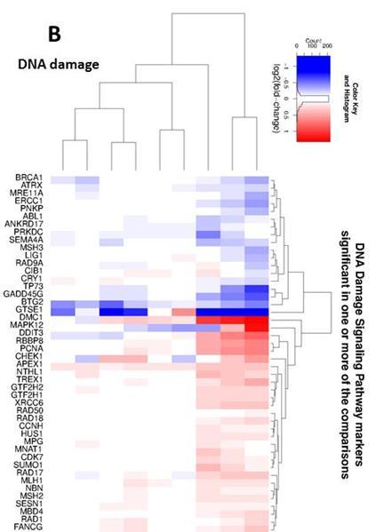 Comparing transcriptional perturbations in MucilAir * 48, 854 genes/ RNA features screened 3R4F 8197 significant genes/rna features Vype epen 49 significant genes/rna features Vype epen* 113