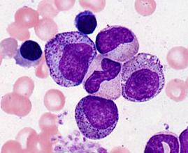 Myelocyte: has specific granules