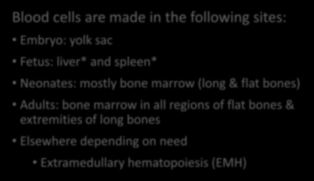 Fetus: liver* and spleen* Neonates: mostly bone marrow (long & flat bones) Adults: bone marrow in all