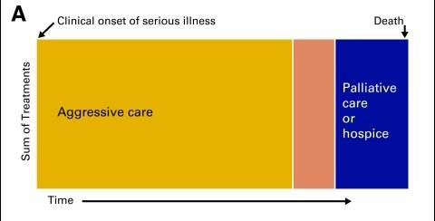 Traditional Palliative Care Model Disadvantages: Referrals too late to make a difference Patients