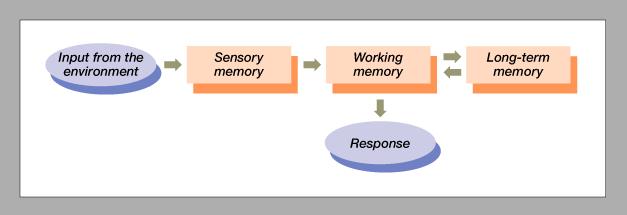 6.2 Information Processing Mental Hardware People and computers are both symbol processors Distinction between hardware and software Hardware includes sensory, working, and longterm memory