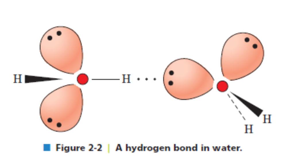 High Boiling Point Water High Specific Heat (Heat Capacity) Very polar universal solvent Density solid < Density of Liquid Each H 2 O can make 4 H-bonds Permanent Dipole (b/c of shape and bond