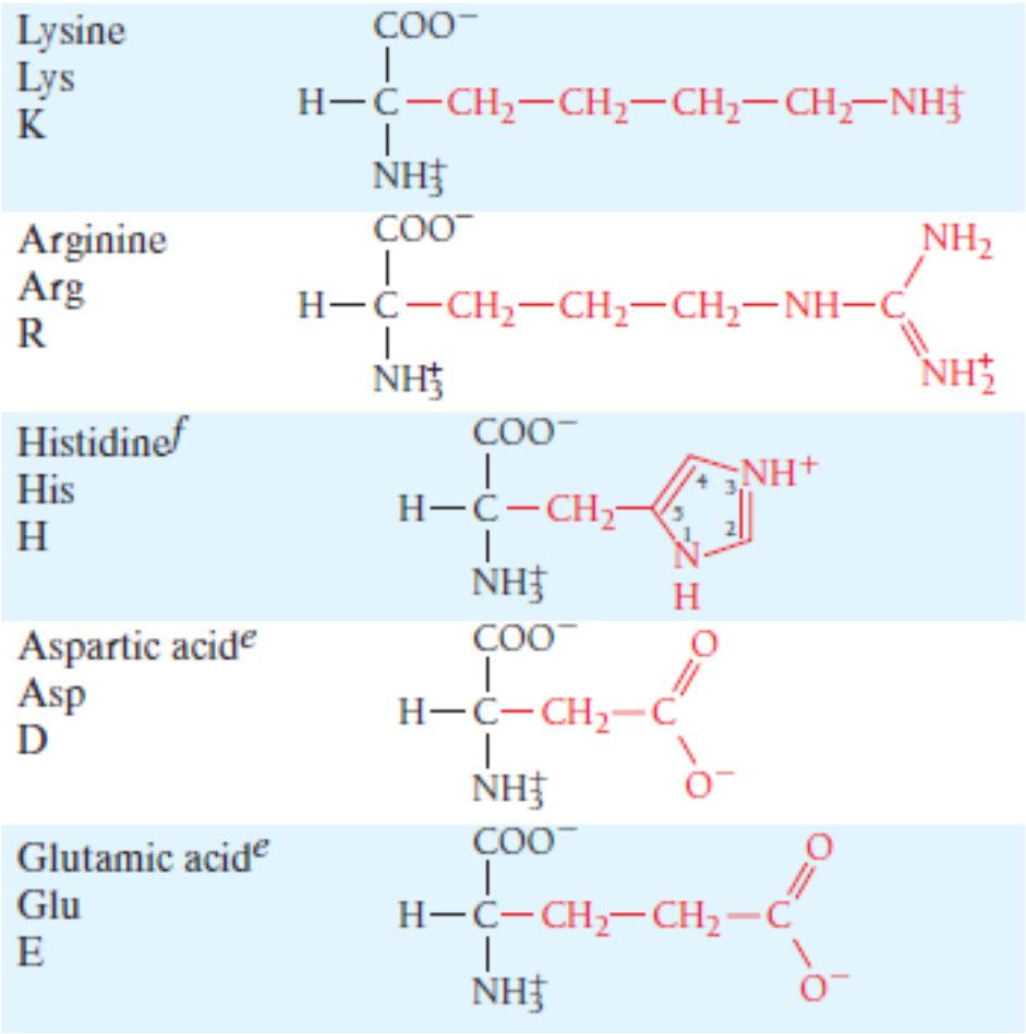 Amino Acids Can form an Ion Pair at ph 7: Asp, Glu, Arg, Lys, His (sometimes) Can
