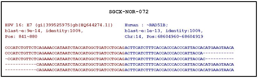 reads, we identified reads supporting RNA fusions in which single reads contained partly human and partly viral RNA.