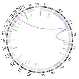 arranged circularly end-to-end with each chromosome's