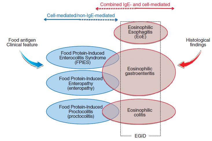 Immune Mediated Food Reactions Venter et al. Clinical and Translational Allergy 2013;3:13 Eosinophilic gastrointestinal disorders Eosinophilic esophagitis (EoE) 530.13 Eosinophilic Gastritis 535.