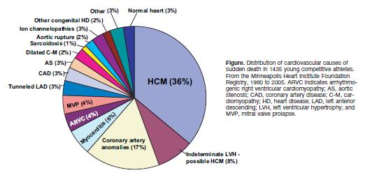 Causes of Sudden Cardiac Death Other Commotio cordis revised to 20% LQTS WPW Brugada syndrome Catecholaminergic PMVT Drugs