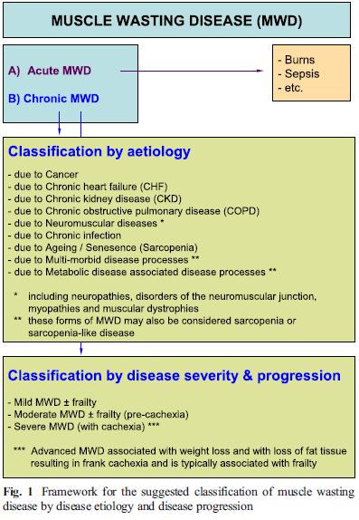 ( muscle wasting disease, myopenia, skeletal muscle function deficit ) Among the causes of weakness and low mass