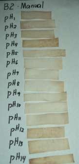 Green yellow at ph 8. The same color reaction was noted at ph 9 and ph 10 to Lime green; at ph 11 it changed color to Olive Drab; ph 12 and ph 13 to Dark olive green and Olive at ph 14.