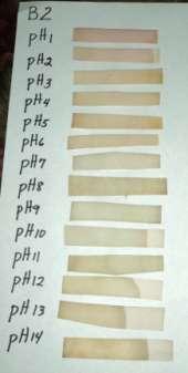 The best color chart for Latundancultivar was noted with the Latundan Extract Paper Strips processed by Soxhlet and Rotary Evaporator Methods.