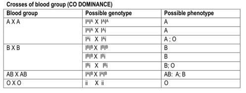Multiple Alleles: Example of ABO blood grouping produces a good example of multiple alleles. There are more than two i.e. three allele, governing the same character.