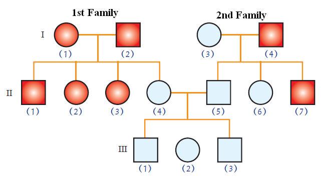 4- Study the following figure and answer the questions 1- What is the number of chromosomes in karyotypes (1) and (2)? 2- What are the sexes of the individuals carrying karyotypes (1) and (2)?