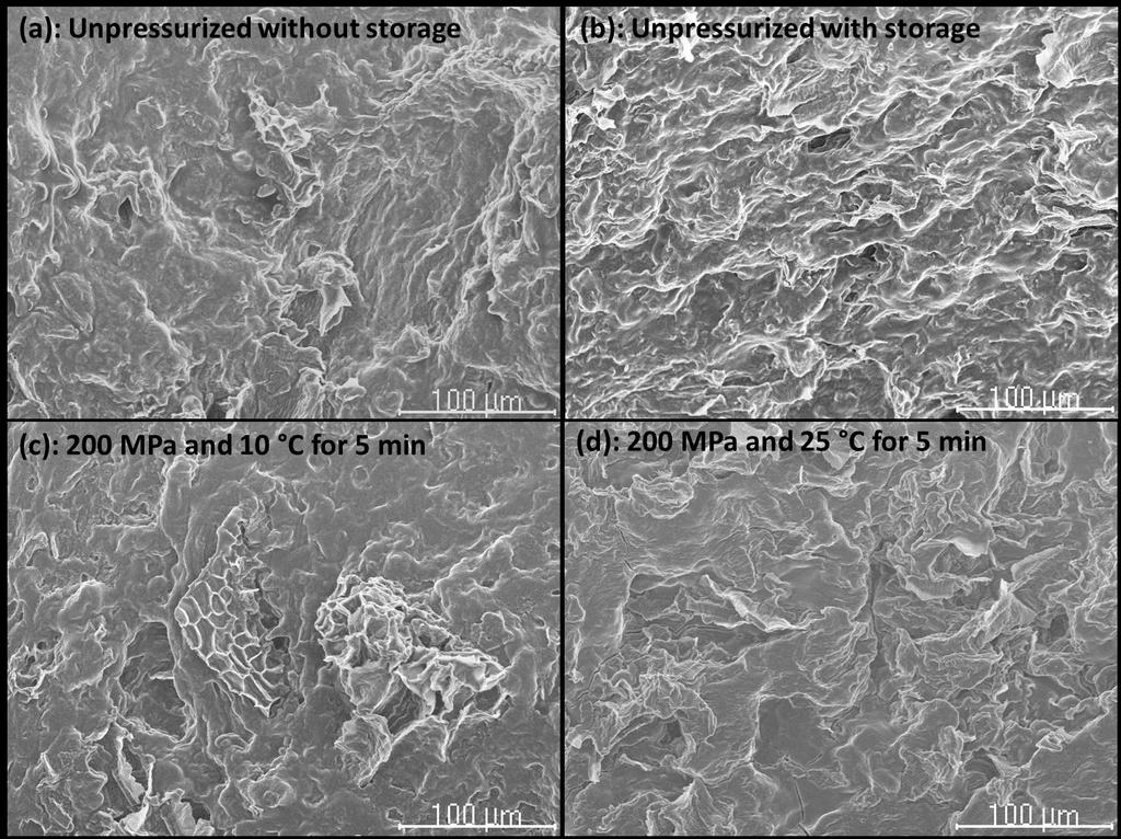 oods 2015, 4 105 T-induced gelatinization. Undoubtedly, this could mask the distinctive effect of the HHP treatment on the visual aearance and the HHP-induced starch gelatinization of the C gels.