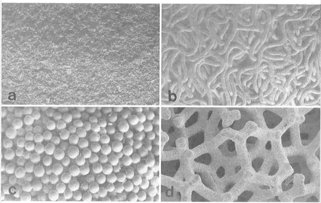 Porous Coatings Scanning electron micrographs of four different types of porous structures: (a) plasma sprayed